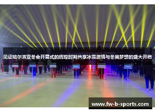 见证哈尔滨亚冬会开幕式的辉煌时刻共享冰雪激情与冬奥梦想的盛大开启 见证哈尔滨亚冬会开幕式的辉煌时刻共享冰雪激情与冬奥梦想的盛大开启