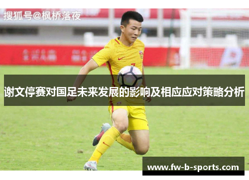 谢文停赛对国足未来发展的影响及相应应对策略分析 谢文停赛对国足未来发展的影响及相应应对策略分析
