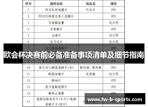 欧会杯决赛前必备准备事项清单及细节指南 欧会杯决赛前必备准备事项清单及细节指南