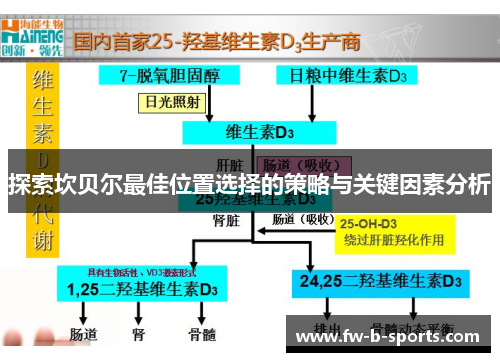 探索坎贝尔最佳位置选择的策略与关键因素分析 探索坎贝尔最佳位置选择的策略与关键因素分析