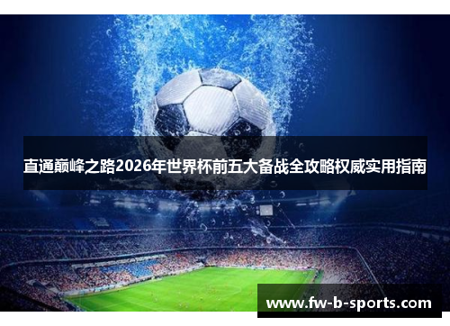 直通巅峰之路2026年世界杯前五大备战全攻略权威实用指南